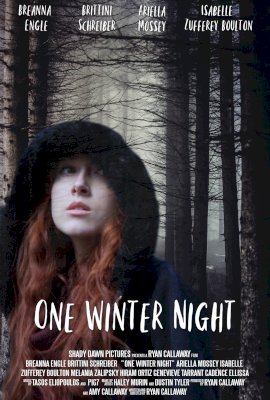 One Winter Night  (2019)