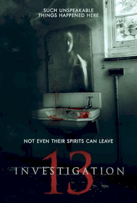 Investigation 13  (2019)