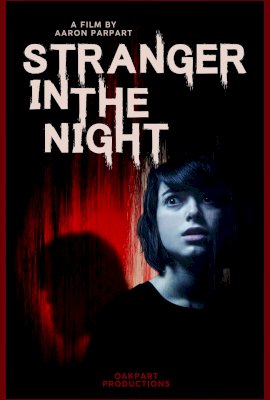 Stranger in the Night  (2019)