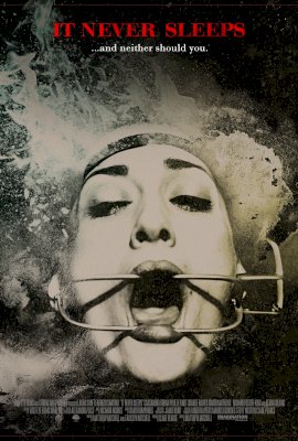 It Never Sleeps  (2014)