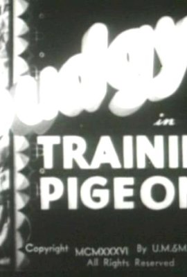 Betty Boop - Training Pigeons (1936)